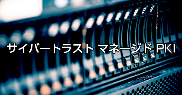電子認証局アウトソーシングサービス